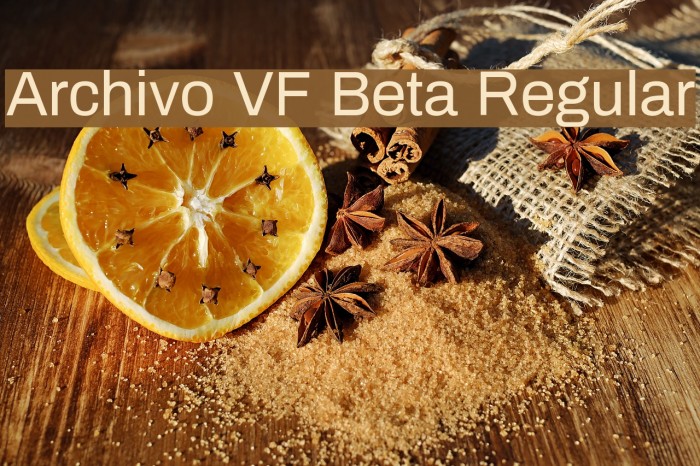 Archivo VF Beta Regular Font examples