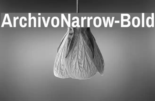 ArchivoNarrow-Bold Font examples