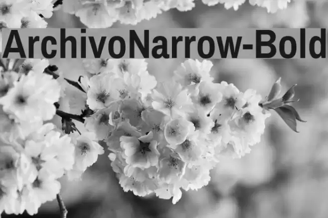 ArchivoNarrow-Bold Font examples
