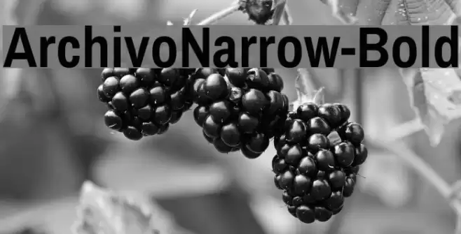 ArchivoNarrow-Bold Font examples
