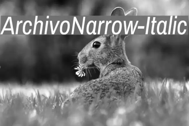 ArchivoNarrow-Italic Font examples