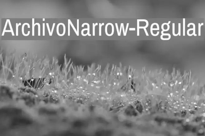 ArchivoNarrow-Regular Font examples