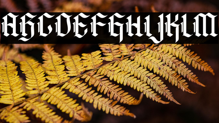 Archking Free Trial Example 1