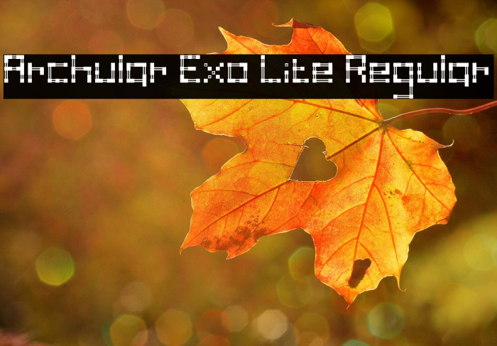 Archular Exo Lite Regular Example 1