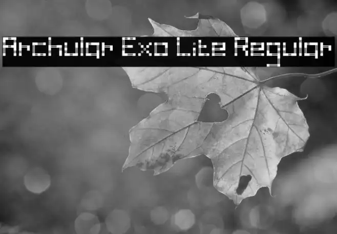 Archular Exo Lite Regular Example 1