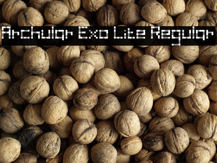 Archular Exo Lite Regular Example 3