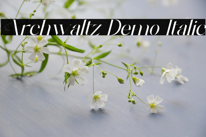 Archwaltz Demo Italic Example 1