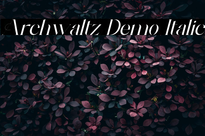 Archwaltz Demo Italic Example 2