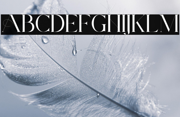 ArchwaltzDemo-Regular Example 1