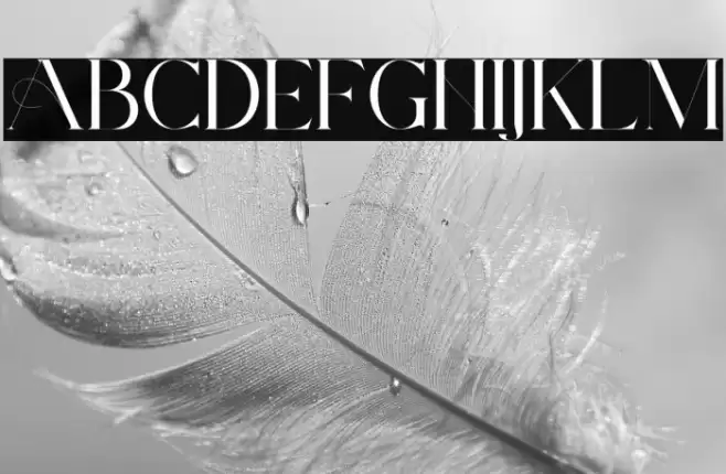 ArchwaltzDemo-Regular Font examples