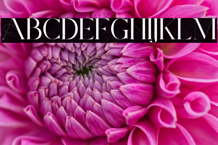 ArchwaltzDemo-Regular Example 2