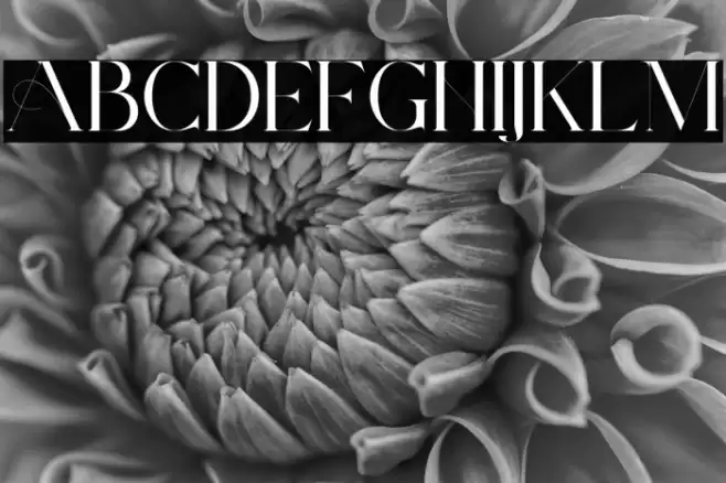 ArchwaltzDemo-Regular Font examples