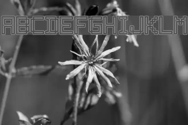 Archway Font examples