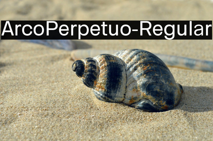 ArcoPerpetuo-Regular Example 3