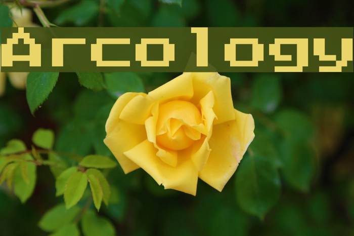 Arcology Font examples