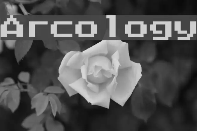 Arcology Example 1