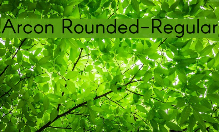 Arcon Rounded-Regular Schriftart examples
