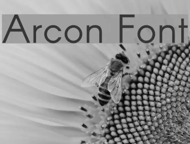 Arcon Schriftart examples