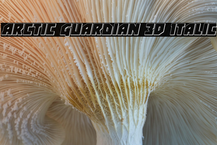 Arctic Guardian 3D Italic Example 2