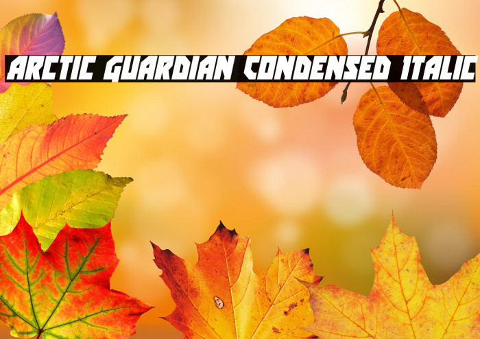 Arctic Guardian Condensed Italic Example 1