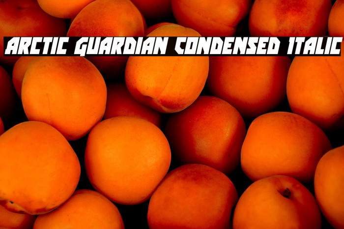 Arctic Guardian Condensed Italic Example 2