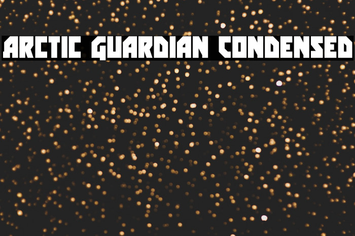 Arctic Guardian Condensed Example 1