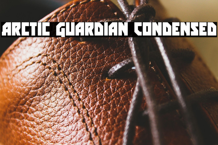 Arctic Guardian Condensed Example 2