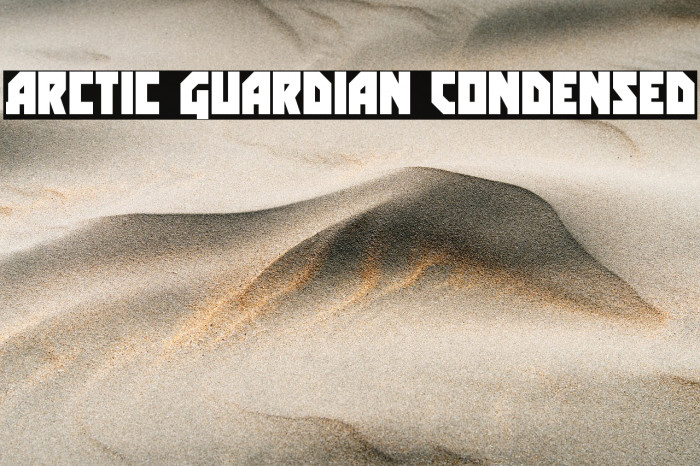 Arctic Guardian Condensed Example 3