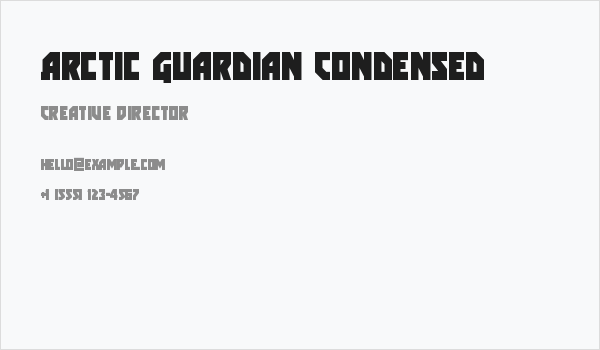 Arctic Guardian Condensed Business Card