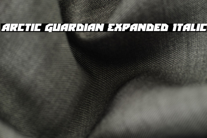 Arctic Guardian Expanded Italic Example 1