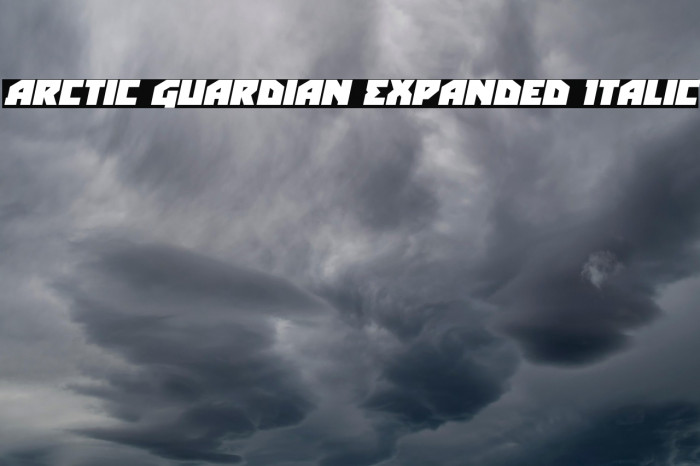 Arctic Guardian Expanded Italic Example 2