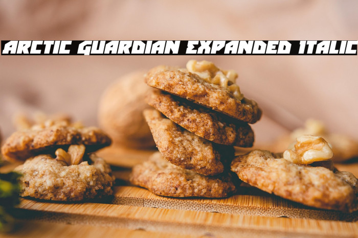 Arctic Guardian Expanded Italic Example 3