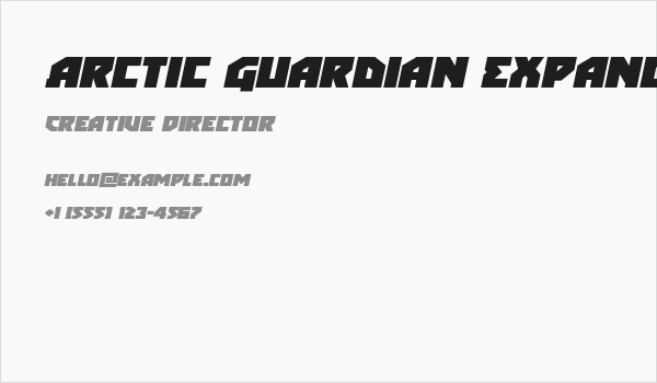 Arctic Guardian Expanded Italic Business Card