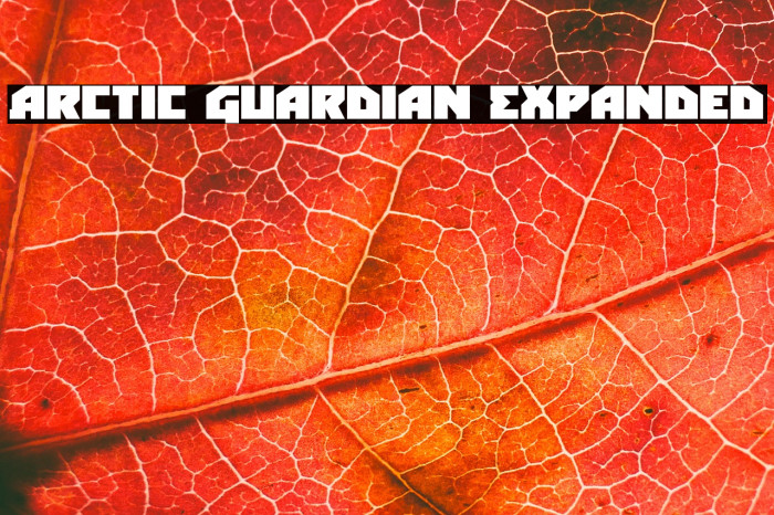 Arctic Guardian Expanded Example 1