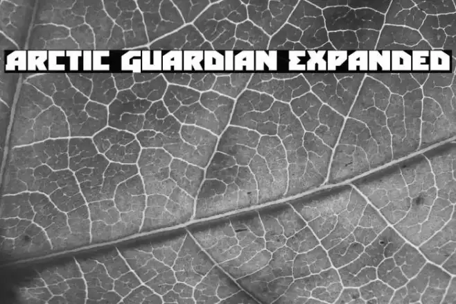 Arctic Guardian Expanded Example 1