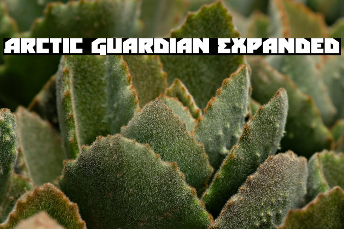 Arctic Guardian Expanded Example 3