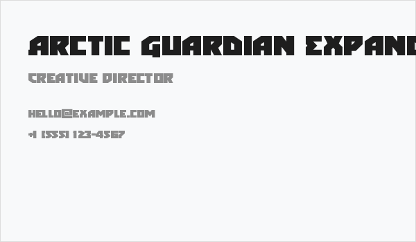 Arctic Guardian Expanded Business Card