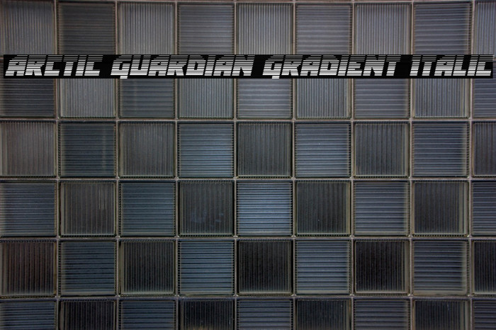 Arctic Guardian Gradient Italic Example 2
