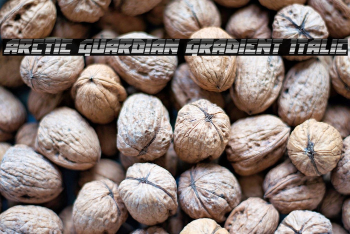 Arctic Guardian Gradient Italic Example 3