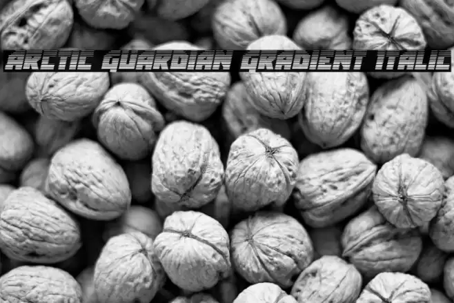 Arctic Guardian Gradient Italic Font examples