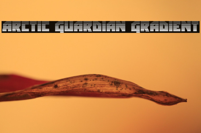 Arctic Guardian Gradient Example 1