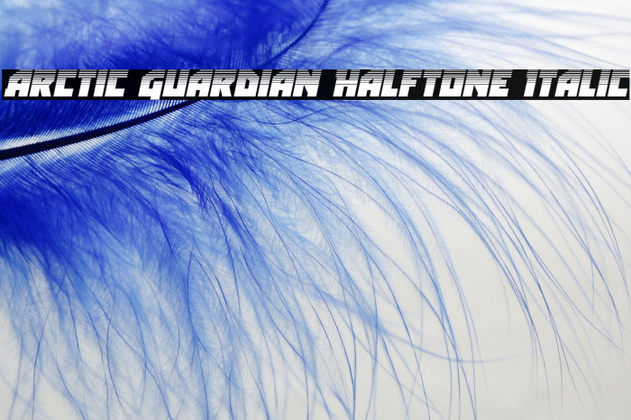 Arctic Guardian Halftone Italic Example 1