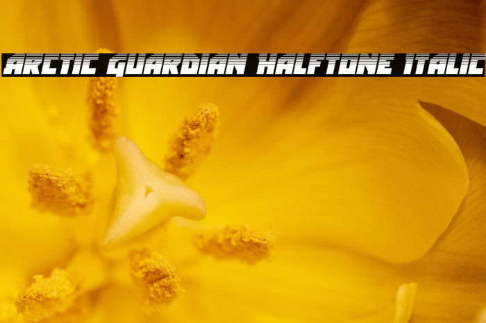 Arctic Guardian Halftone Italic Example 2