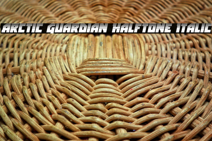 Arctic Guardian Halftone Italic Example 3