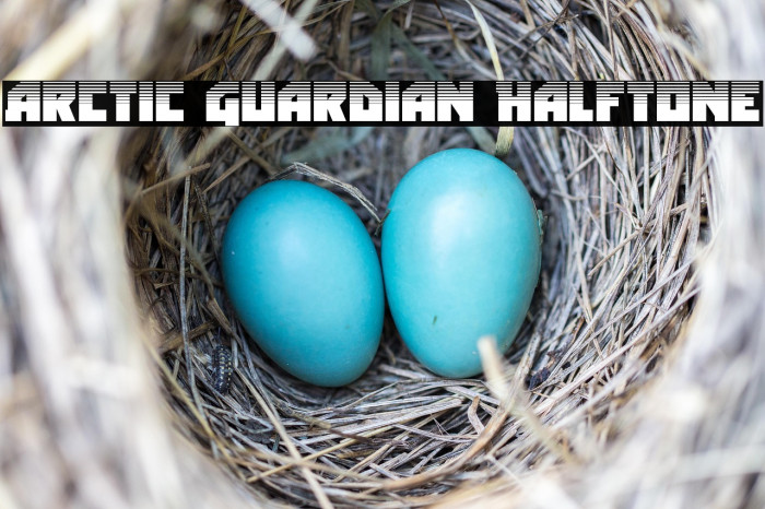 Arctic Guardian Halftone Example 3