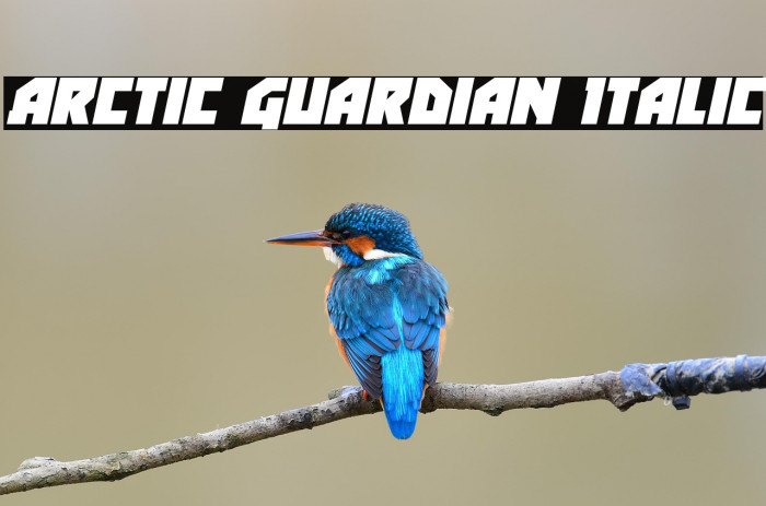 Arctic Guardian Italic Example 1