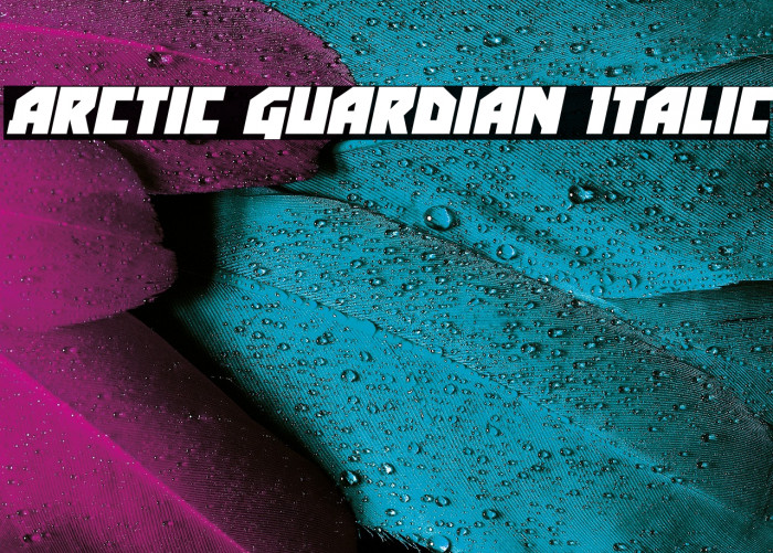 Arctic Guardian Italic Example 2