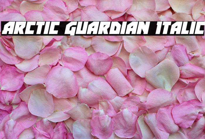 Arctic Guardian Italic Example 3