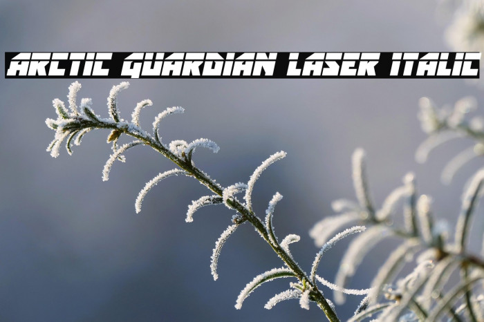Arctic Guardian Laser Italic Example 3