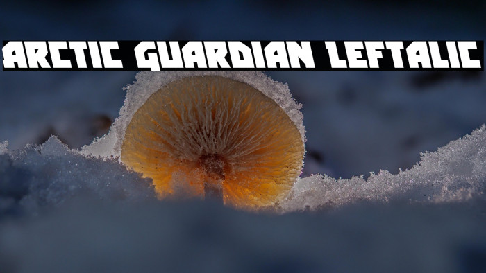 Arctic Guardian Leftalic Example 1